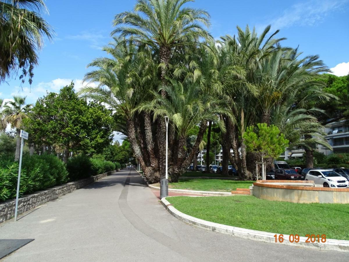 Palm Beach Cannes Azur Apartment Bagian luar foto